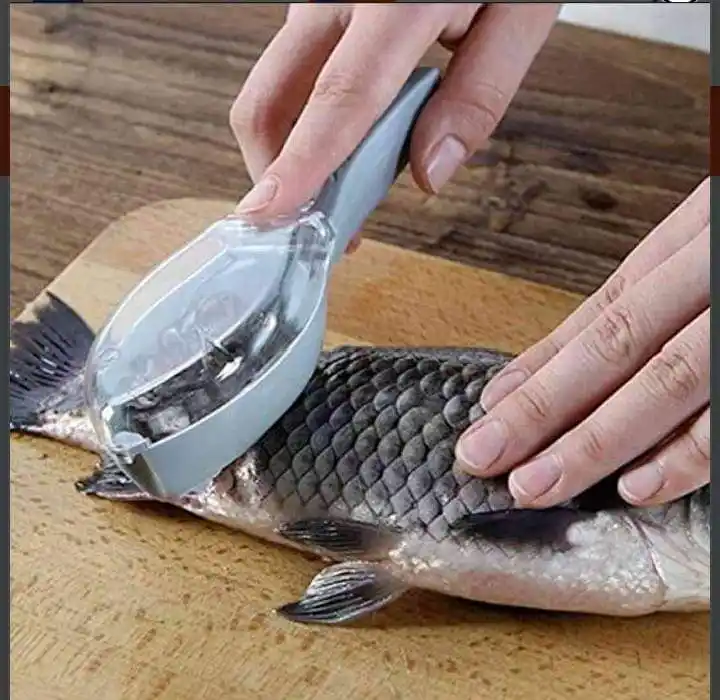 Fish Scale Remover
