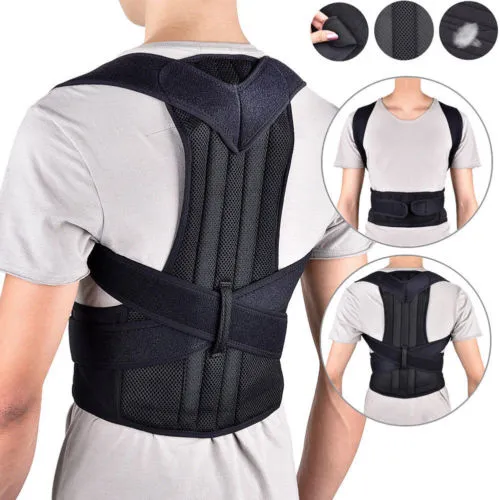 Back support Belt