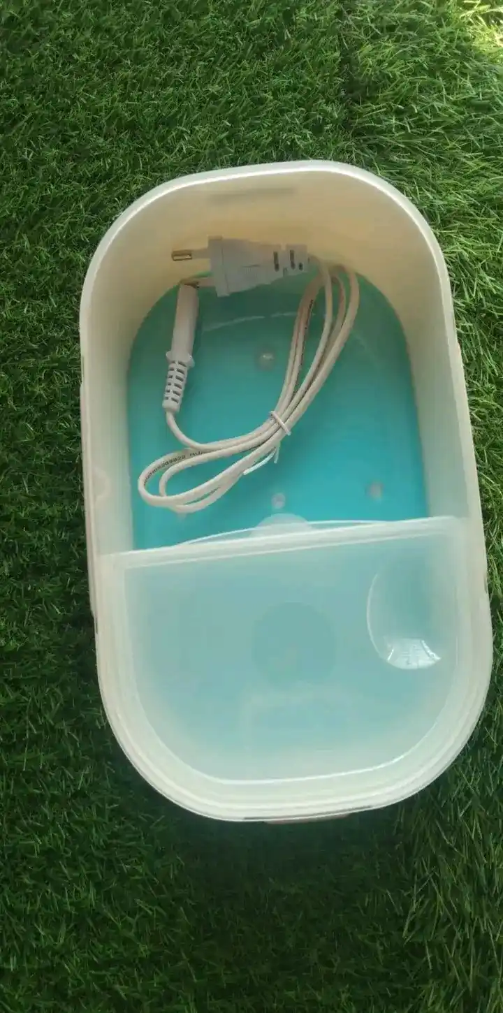 ইলেকট্রনিক লাঞ্চ বক্স